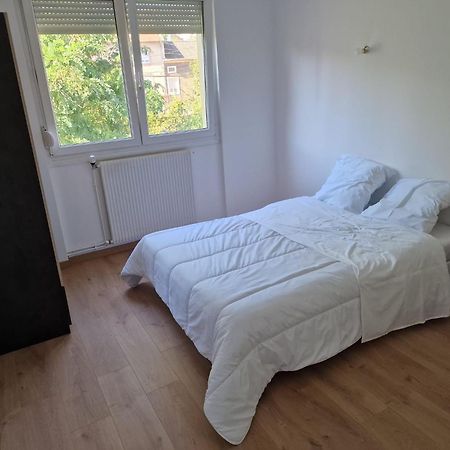 Location Appartement 80M2 A Rombas Buitenkant foto